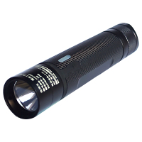 立华王LH3100A手电