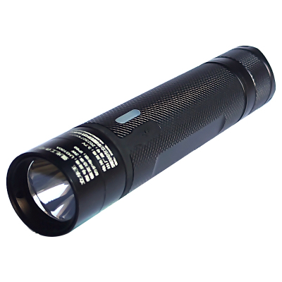 立华王LH3100A手电