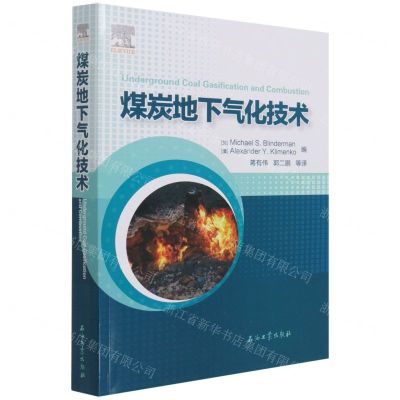 [N]煤炭地下气化技术-9787518346455