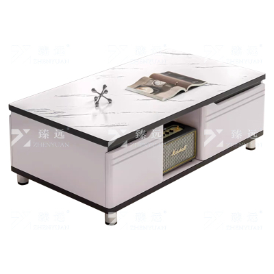 臻远 ZY-X123 茶几