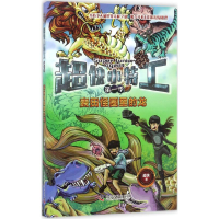 音像麦田怪圈里的龙超侠 著