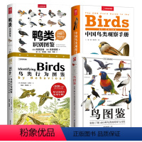 4册 鸟图鉴+中国鸟类观察手册+鸭类识别图鉴+鸟类行为图鉴:野外观鸟大师课 [正版]鸟图鉴全世界130种鸟的彩色图鉴世界
