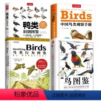 4册 鸟图鉴+中国鸟类观察手册+鸭类识别图鉴+鸟类行为图鉴:野外观鸟大师课 [正版]鸟图鉴全世界130种鸟的彩色图鉴世界