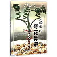 音像我家的奇花异草编者:兑宝峰
