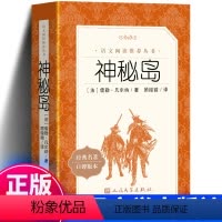 神秘岛 人民文学出版社 [正版]616页完整版 神秘岛 书免邮 凡尔纳 语文教育阅读丛书小学生课外书 六年级初中版初中