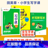 五年级下[语+英2本] [正版]小学同步练字帖一年级二年级三年级四年级五年级六年级上下册写字课课练语文英语人教版小学生写