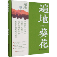 音像遍地葵花陈怀国