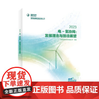 电-氢协同:发展理念与路径展望 2023