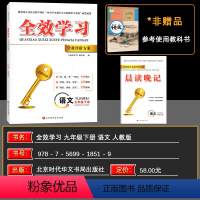 语文 九年级下 [正版]2024春全效学习学业评价方案九年级语文下册人教版同步练习册、试卷、答案、核心专题突破小册子