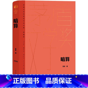 暗算 [正版]追逐金色的少年/长青藤国际大奖小说书系 青少年小学生课外阅读书籍儿童文学作品