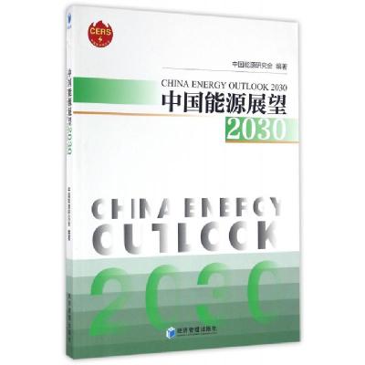 正版新书]中国能源展望2030中国能源研究会9787509643297