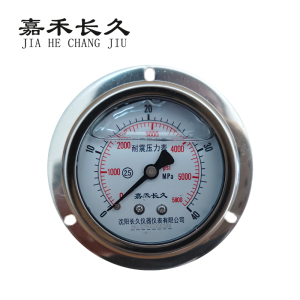 嘉禾长久 耐震压力表轴向带边检测型 YTN60ZT 块