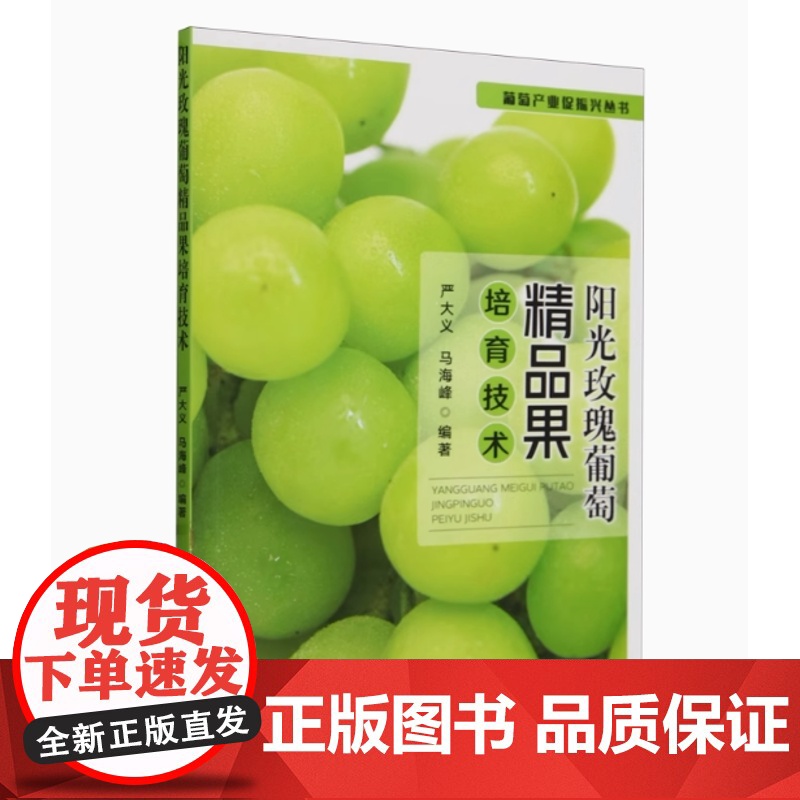 阳光玫瑰葡萄精品果培育技术 9787109318618 中国农业出版社 阳光玫瑰葡萄苗木培育砧木栽培整形架式修剪技术花果