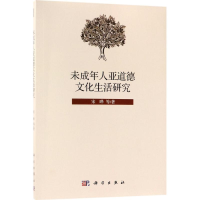 音像未成年人亚道德文化生活研究宋晔 等 著