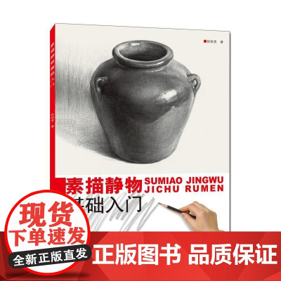 素描静物基础入门