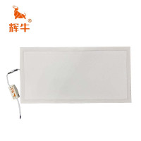 辉牛 面板灯 36W-300*600mm 个