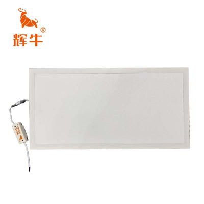 辉牛 面板灯 36W-300*600mm 个