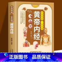 一看就懂黄帝内经 [正版]一看就懂黄帝内经彩图精解皇帝内经灵枢素问白话文版原文加注释译文通俗易懂领悟养生之法皇帝内经中医
