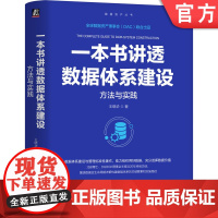 正版 一本书讲透数据体系建设:方法与实践 王晓华 著 DGBOK理事会主席20年经验总结 CDO DAMA 数据 大