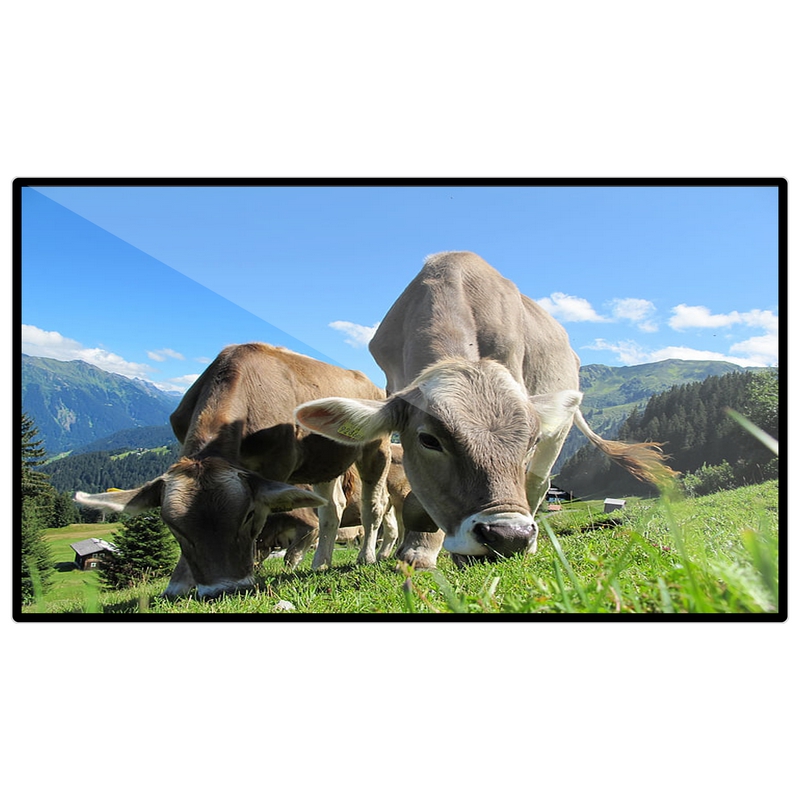 昌裕CY-XF-B6Y85寸壁挂式广告机大厅取号排队信息发布屏