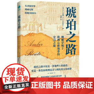 琥珀之路欧洲心脏地带的史诗之旅历史世界史舒勒著文化纽带圣彼得堡威尼斯维也纳音乐要塞城堡战争全球化艺术广东人民出版社书籍