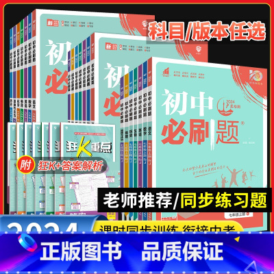 地理]湘教版 七年级下 [正版]2024初中必刷题七八九年级上册下册人教版数学北师英语沪牛物理沪粤化学语文初一初二初三同