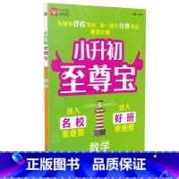 [正版]津桥教育 小升初至尊宝 数学通用版 小学毕业总复习冲刺重点中学为初中择校考试初一新生分班考试量身定制