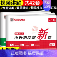 2册:语文+英语 小学升初中 [正版]2024小升初冲刺新卷语文数学英语人教版小升初真题卷六年级下册试卷测试卷全套专项训