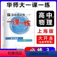 物理 必修3 [正版]2023新版华东师大版一课一练 物理必修3 高二上册高2年级第一学期物理 华师大版一课一练 上海版