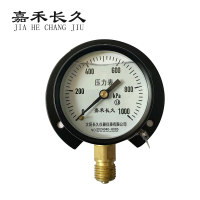 嘉禾长久 风表耐震压力表 YTN100T 块