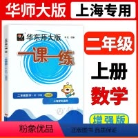 [正版]2023华师大版一课一练数学增强版2年级上册二年级第一学期数学上海地区小学生考试常备教辅沪教版华东师范大学出版