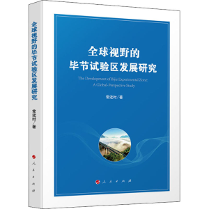 醉染图书全球视野的节试验区发展研究9787010219141
