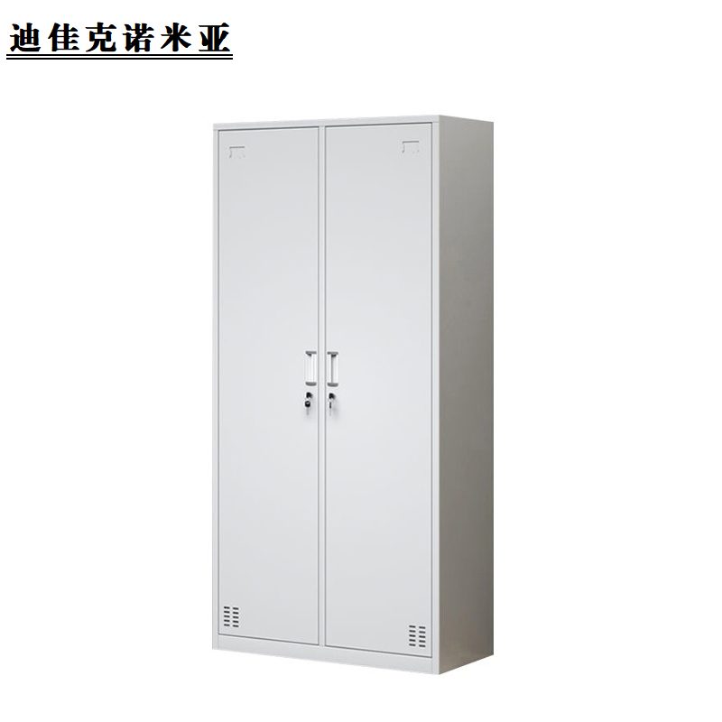 迪佳克诺米亚 双门更衣柜 A5-BGG 个