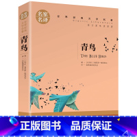 青鸟 [正版]5本25元傲慢与偏见原着原版 初中高中小学生课外阅读书籍小说 青少年名著书籍 成人阅读名著书籍名家名译世界