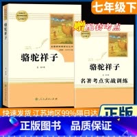 七年级下册 骆驼祥子[必读]赠考点 [正版]朝花夕拾和加西游记上下全册人民教育出版社三册人教版七年级上必读书带批注温儒敏