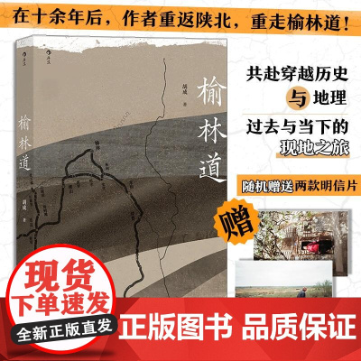 榆林道 胡成上海文艺出版社