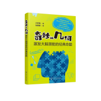 音像奇妙的几何(激发大脑潜能的经典命题)江安海编