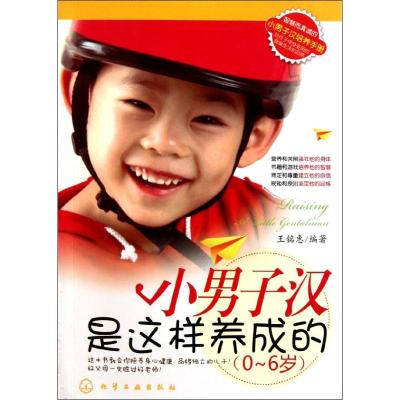 [M]小男子汉是这样养成的(0~6岁)-9787122095237