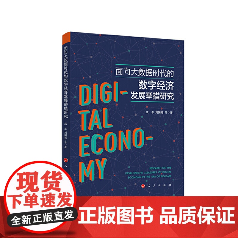 面向大数据时代的数字经济发展举措研究