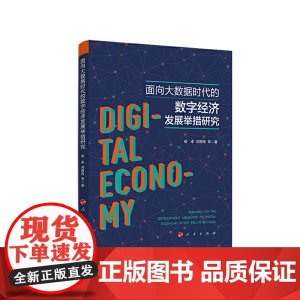 面向大数据时代的数字经济发展举措研究