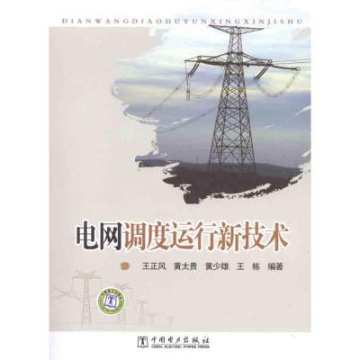 正版新书]电网调度运行新技术王正风9787512323261