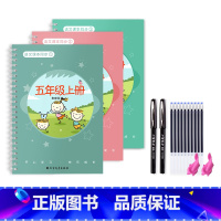 五年级上册/3本 [正版]一年级二年级三年级上册下册语文同步练字帖凹槽四五六人教版小学生每日一练硬笔书法楷书练字本笔画笔