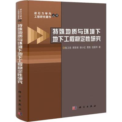 [N]特殊地质与环境下地下工程稳定性研究-9787030336002
