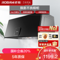 老板(ROBAM)油烟机 16m³大吸力 小尺寸抽油烟机中式 吸油烟机 单烟机 抽烟机 脱排油烟机 3009