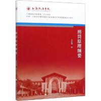 正版新书]刑罚原理纲要金翼翔9787562092704
