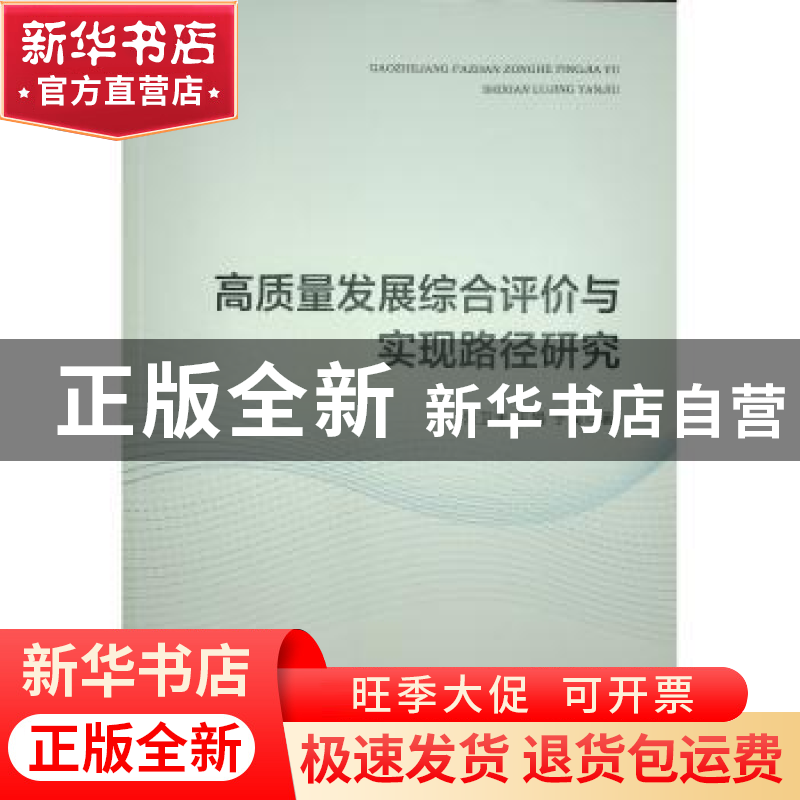 正版 高质量发展综合评价与实现路径研究 朱卫未 人民出版社 9787