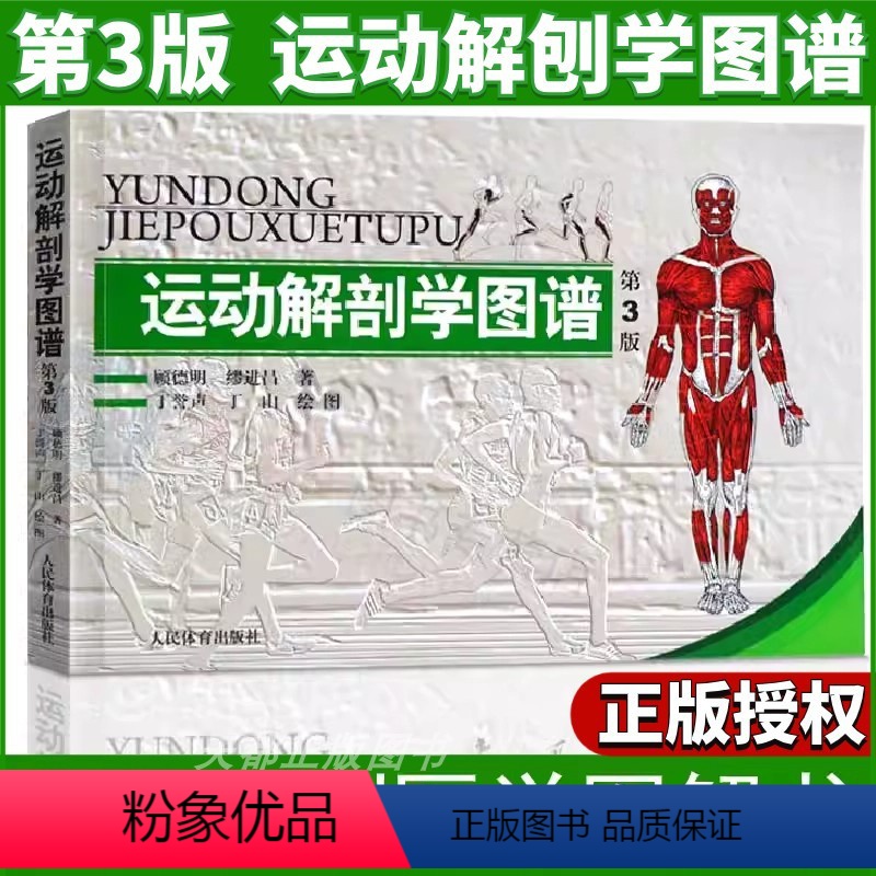 [正版] 运动解剖学图谱修订第3版 肌肉塑造教程全书 人民体育健身书籍 肌肉健美训练图解 医学实用性人体图谱 运动生理