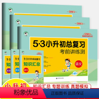 (2023)语文+数学+英语-共三册 小学升初中 [正版]小升初五三总复习考前讲练测语文数学英语知识汇总专题训练名校招生
