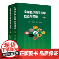 实用临床微生物学检验与图谱上下册陈东科病原微生物技术方法病原体流行病学分析病毒细菌真菌寄生虫鉴定药敏试验医院感染监测百科