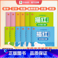 ·描红天天练 幼小衔接 [正版]一年级我来啦描红天天练12册 幼儿园练字帖 5-7岁儿童大中小班初学者练字帖数字拼音偏旁